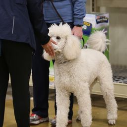 photograph by PeterW